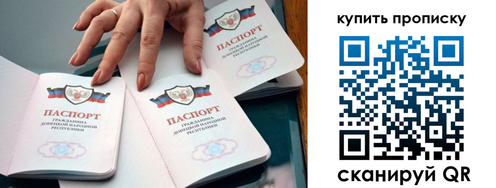 где прописаться в Каргополе